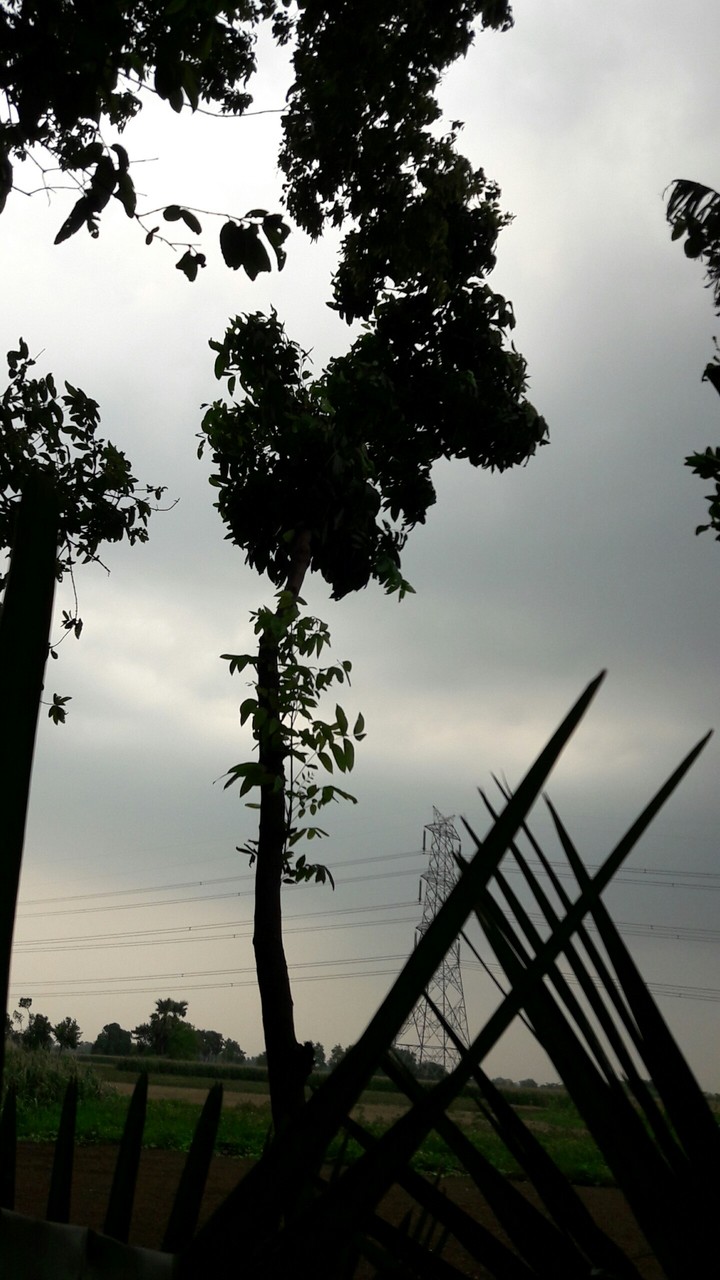 weather