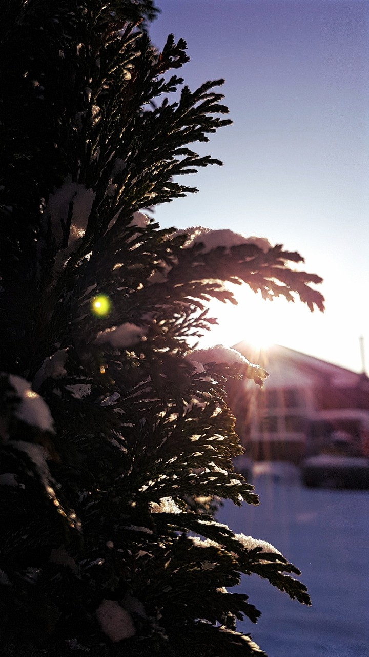 sunset