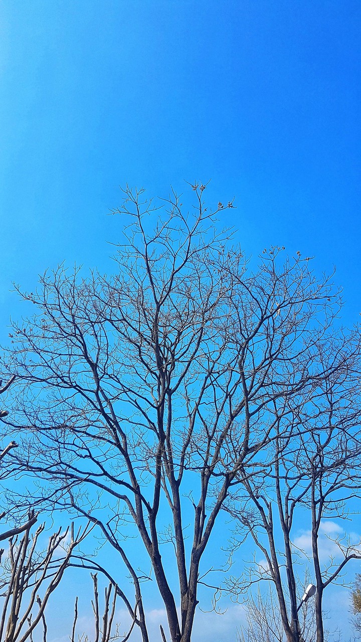 Beginning of Autumn