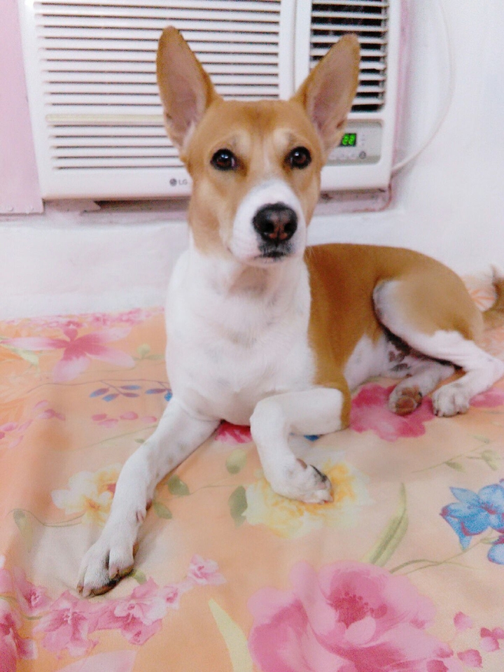 MY hachiii.....