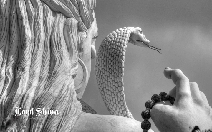 Lord Shiva. . .