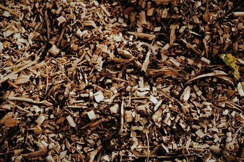 tiny wood
