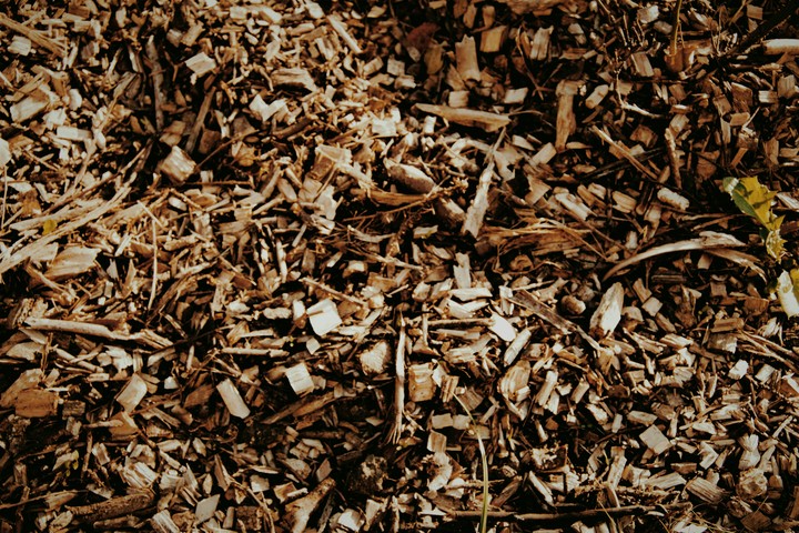 tiny wood