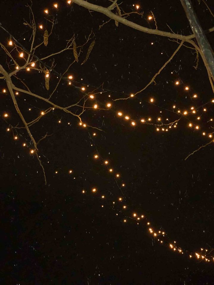 ✨?
