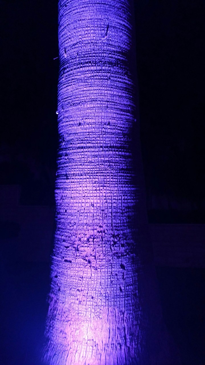 light