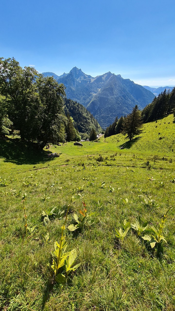 Nature