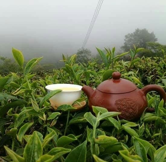 Happy New Week... ◠‿◠