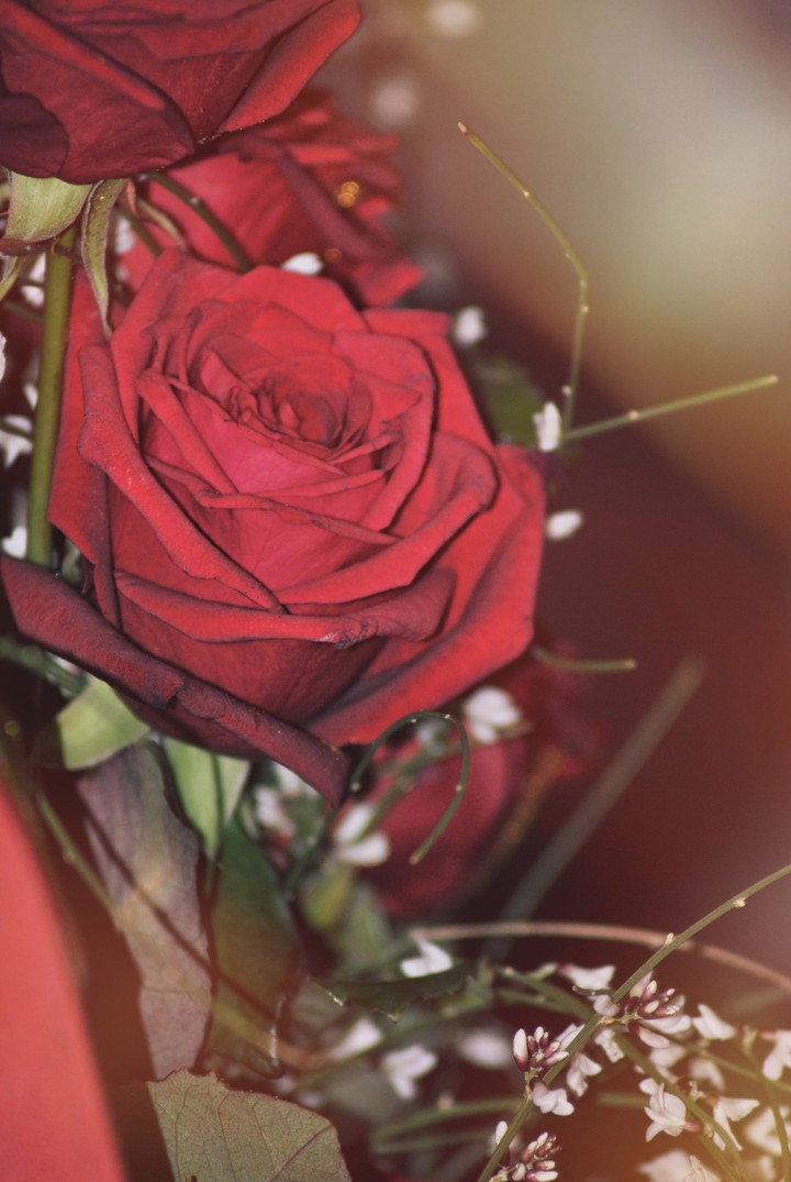 #rose -my click-