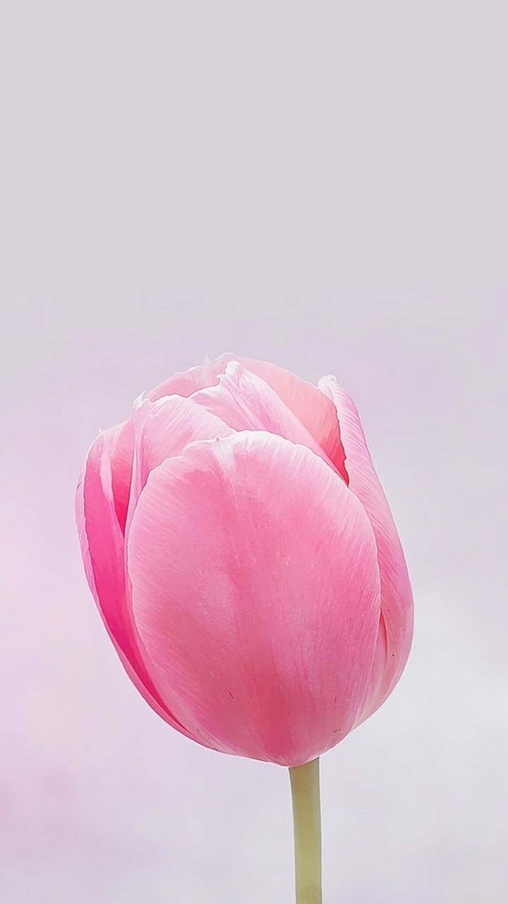 Flower!!!