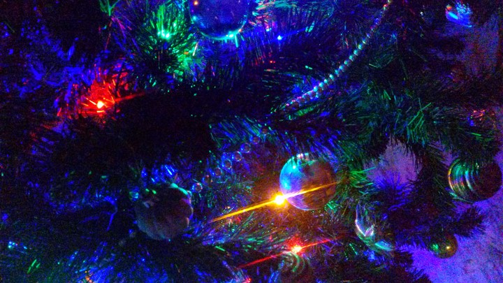 Christmas tree by night
