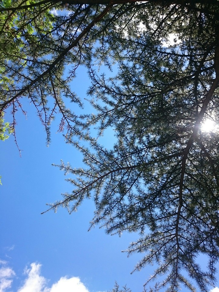 ☁ ☁