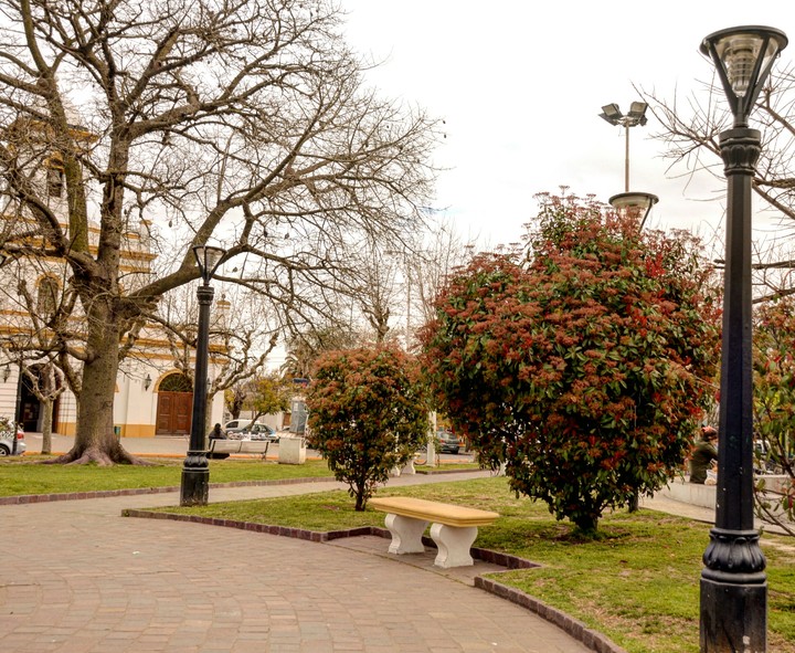 "mi lugar" 