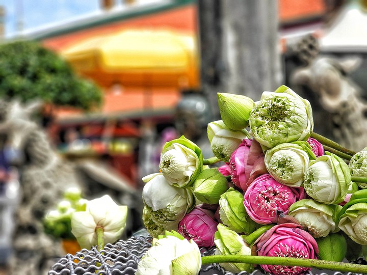 Flowers for Buddha