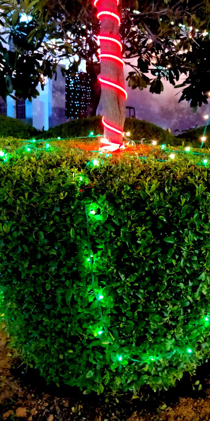 Greenery