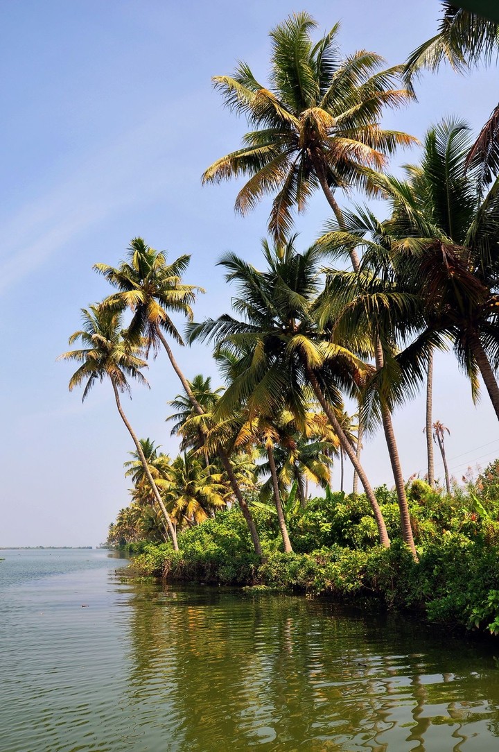 Beautiful Backwater of Alappuzha(Kerala)
