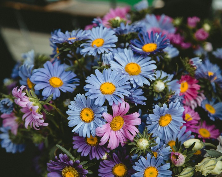 Flowers