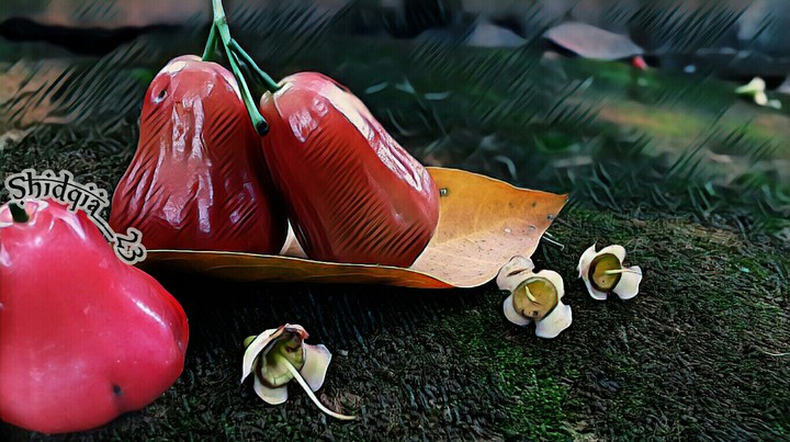 Jambu