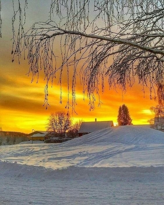 зима