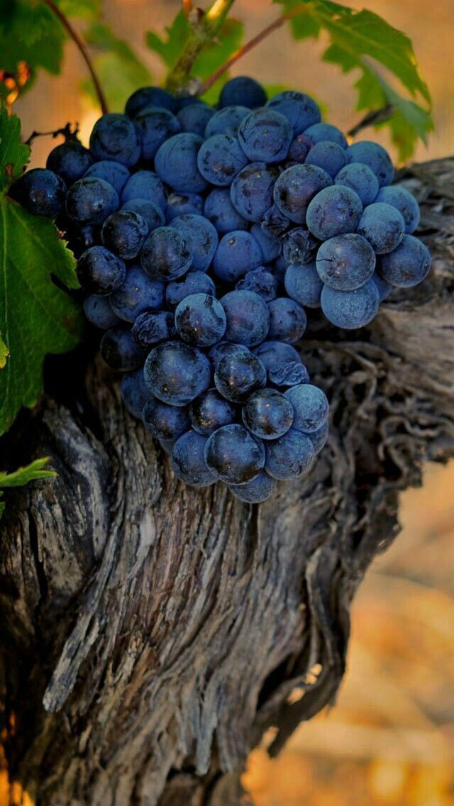 ❤