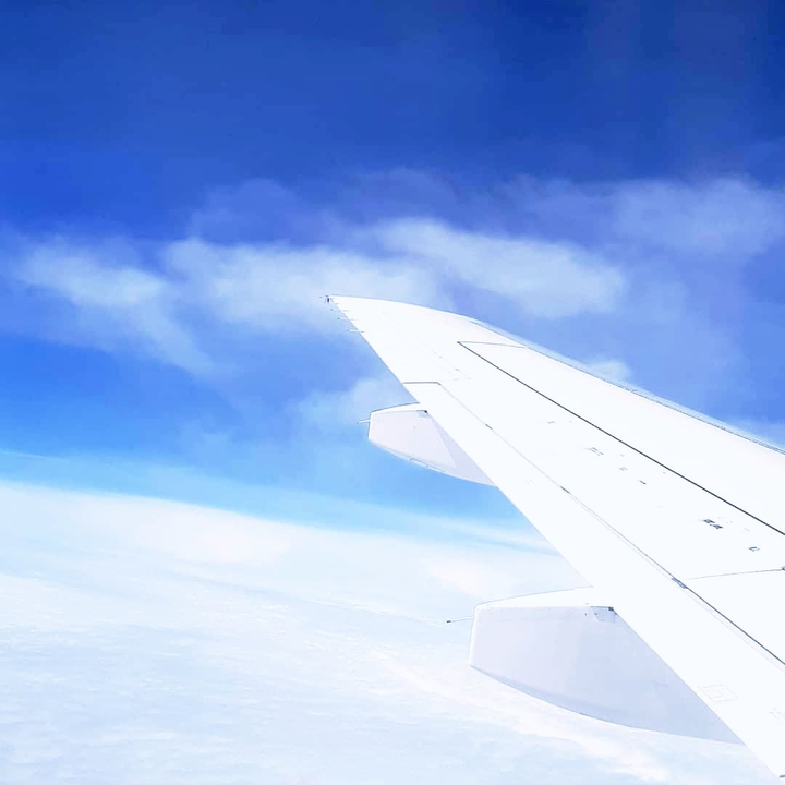Flight ✈️