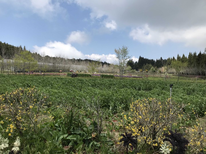 field