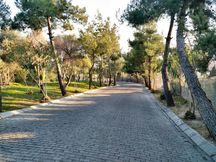 road