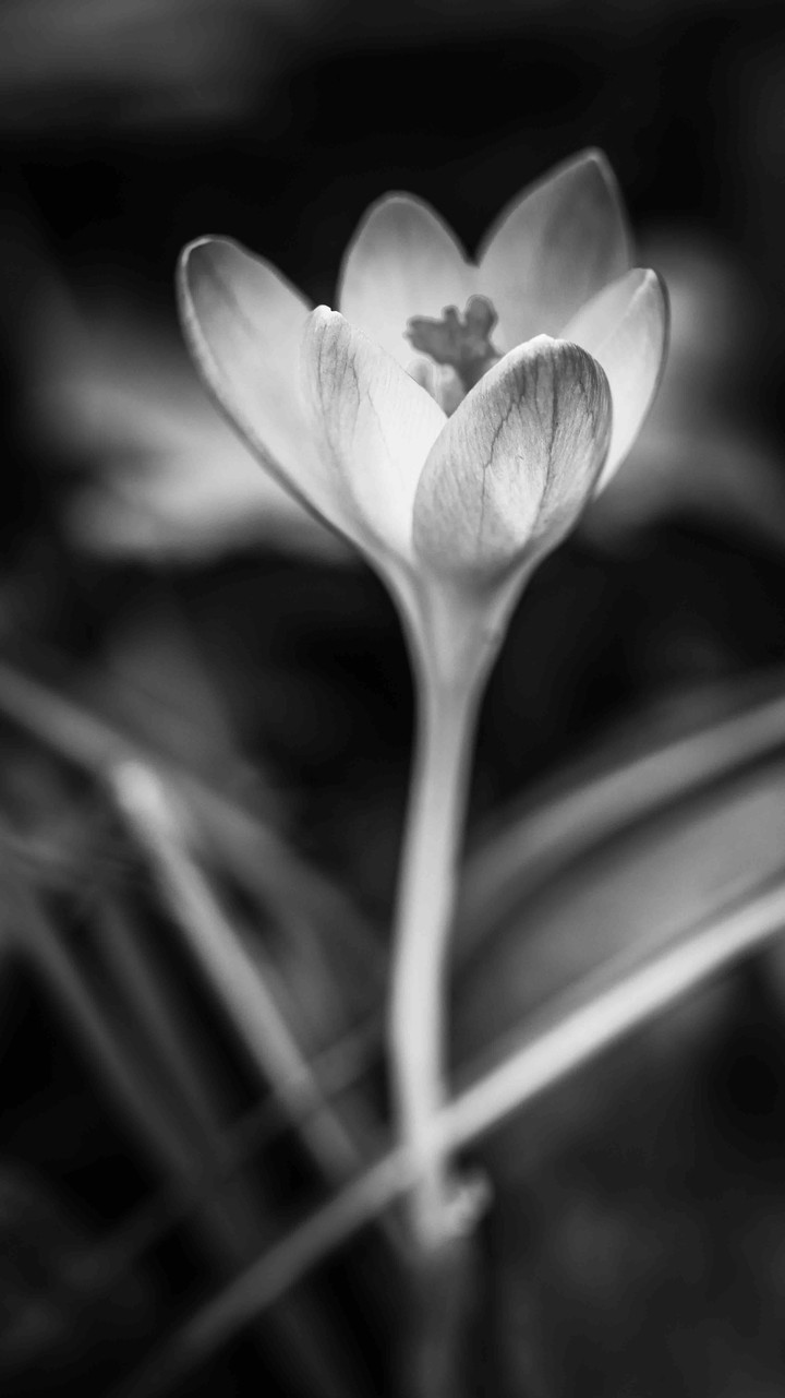 Black&White