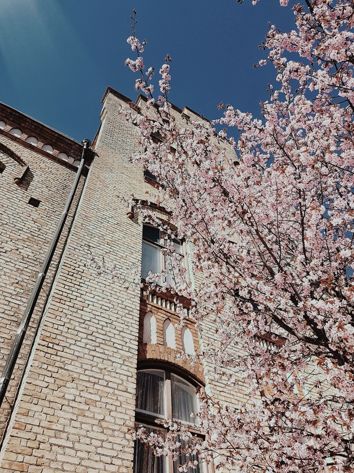 Spring