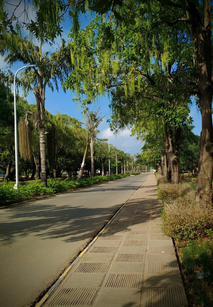 Beautiful Nature roads