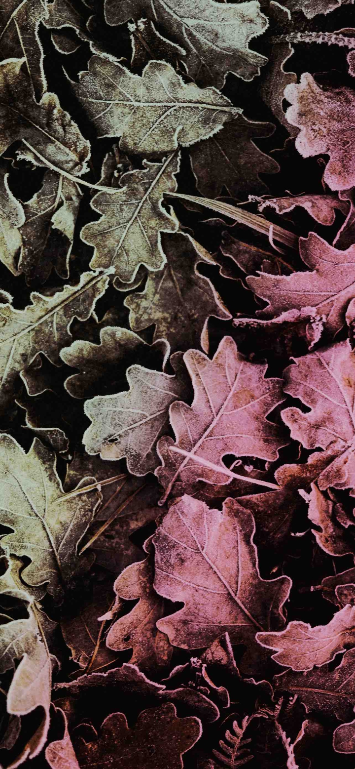 ⠀