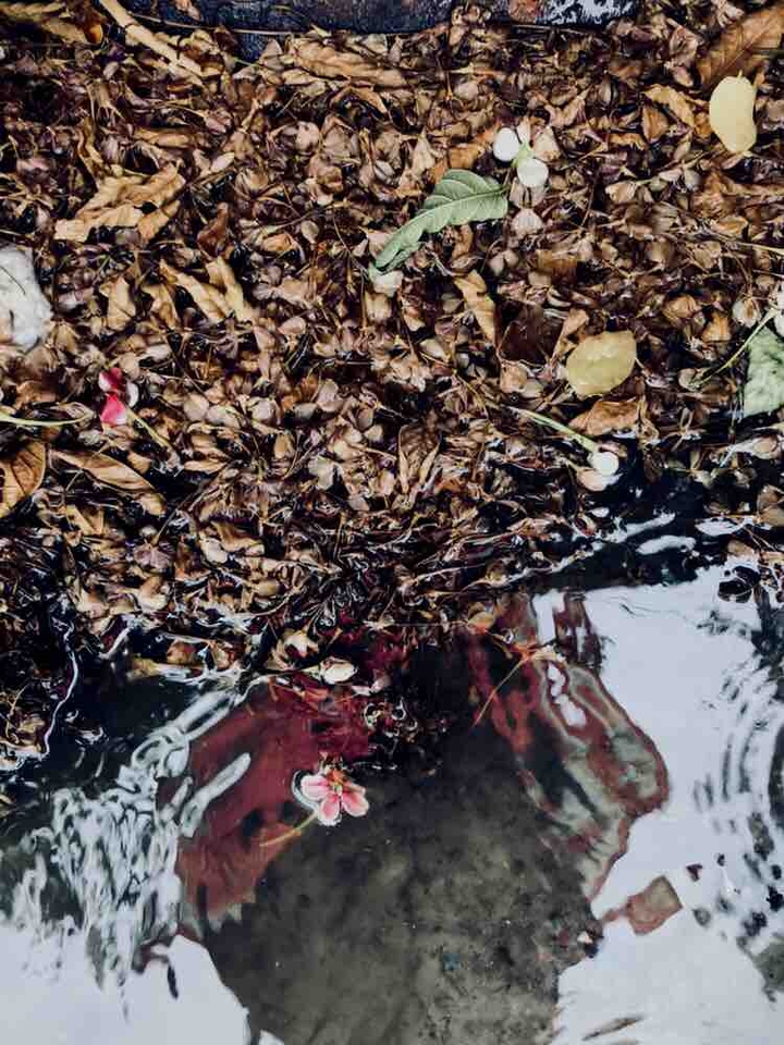 reflection