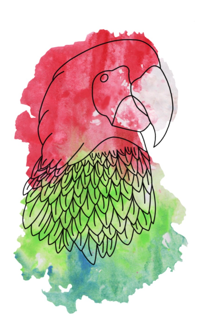 Parrot