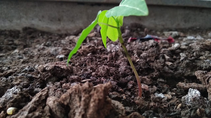 ??