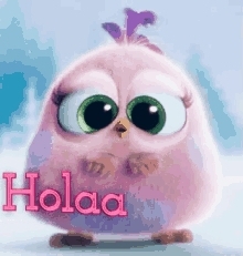 hola