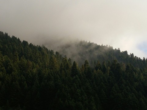 foggy