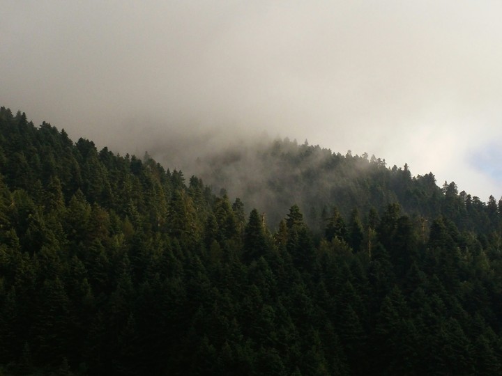foggy