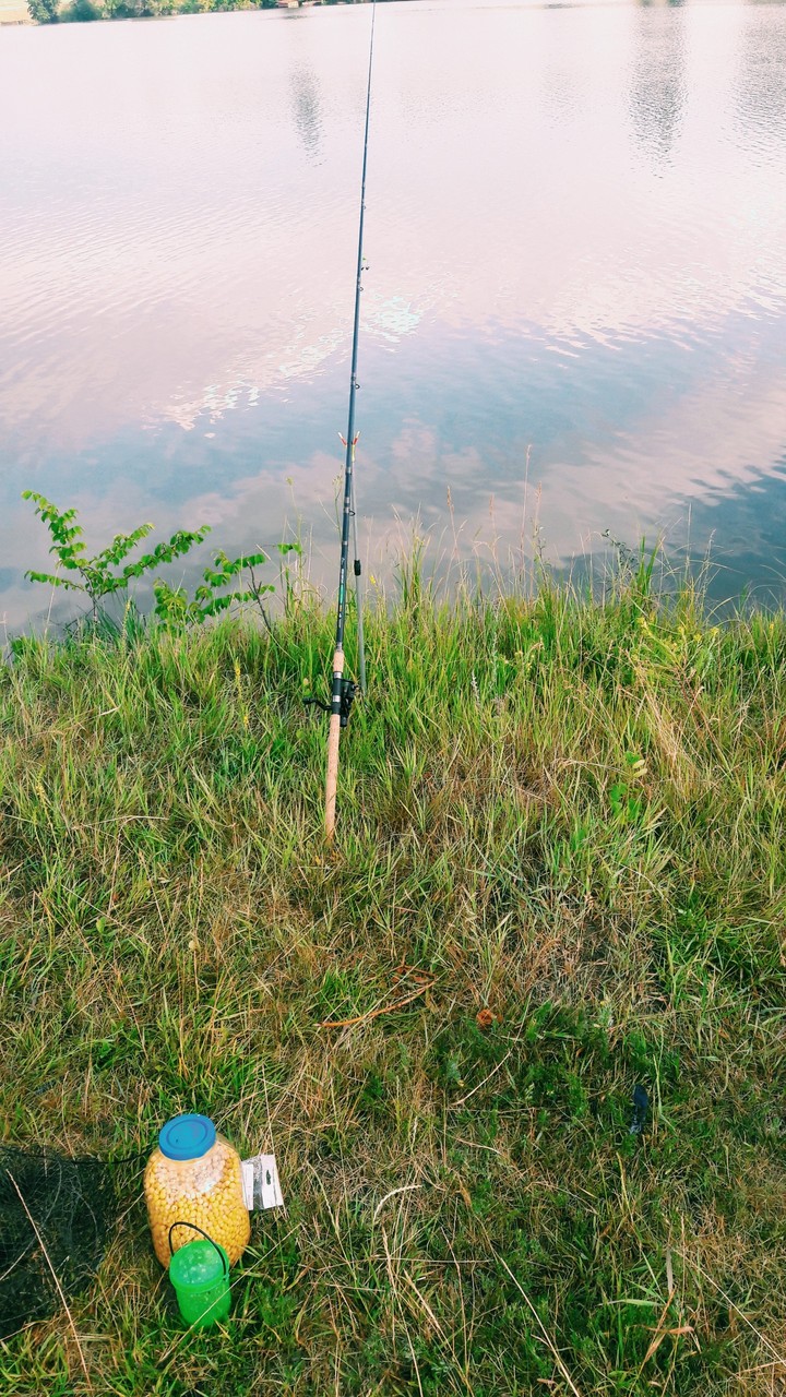Fisher