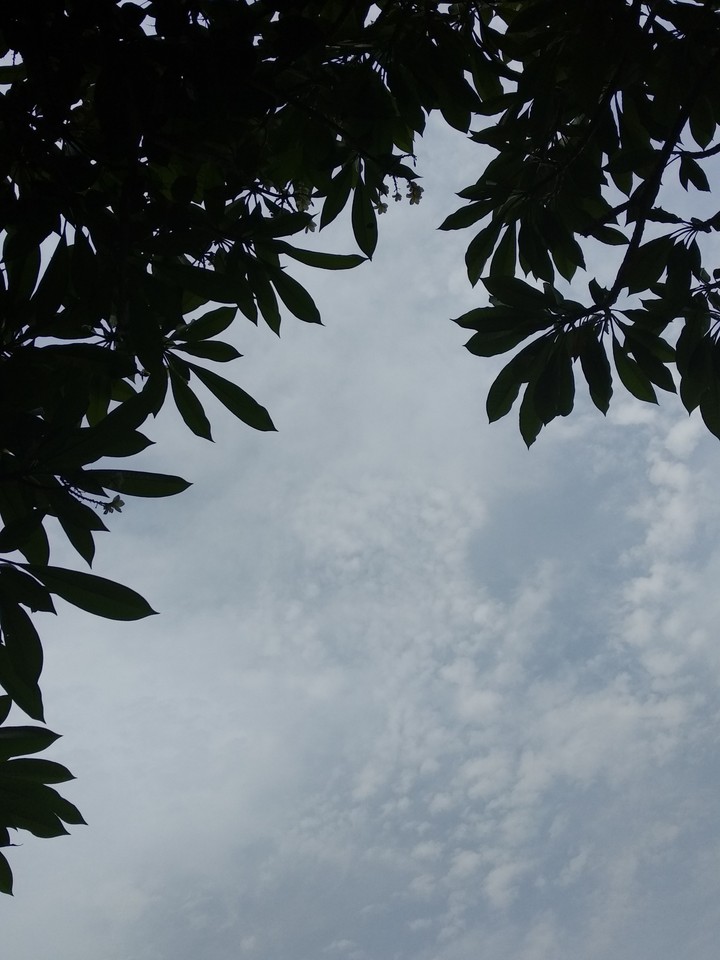 #sky