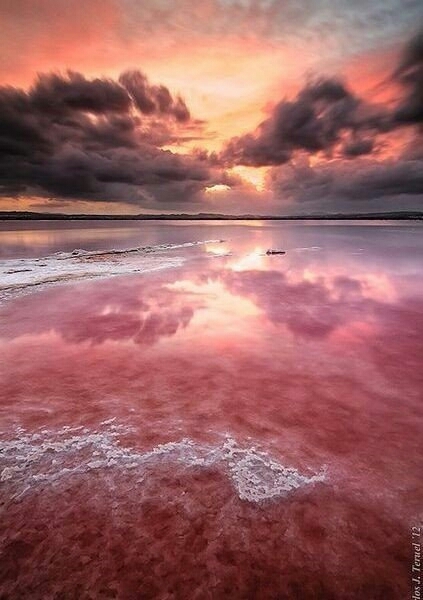 sea