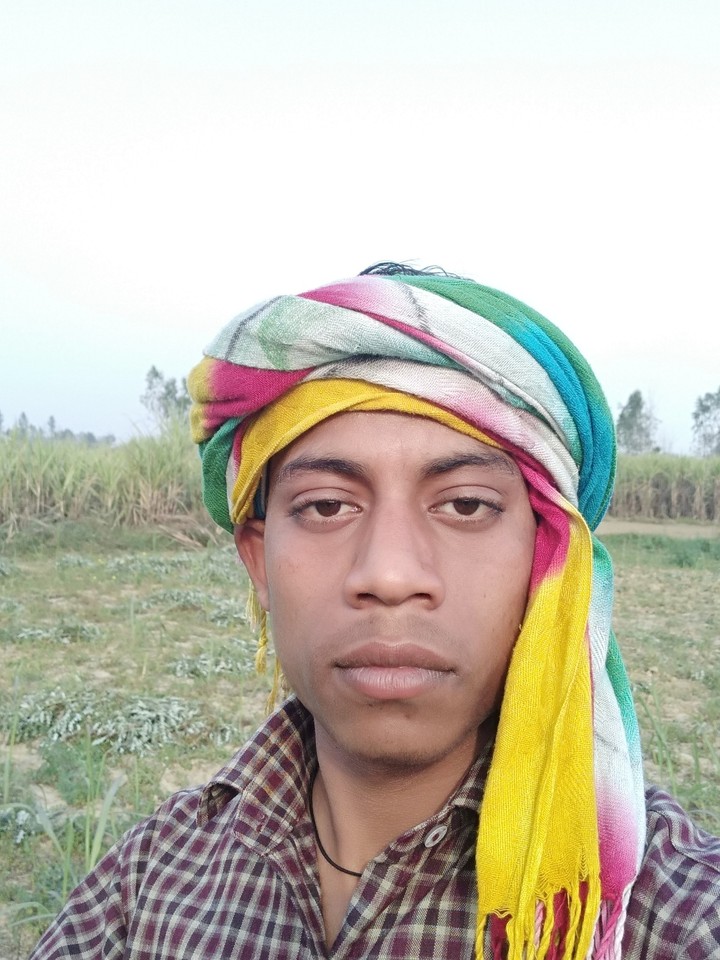 Vineet Kumar Rathour