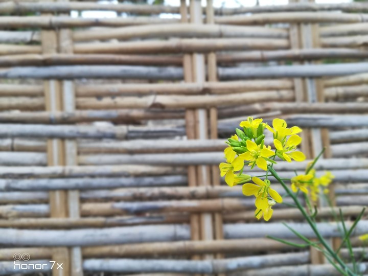 my click