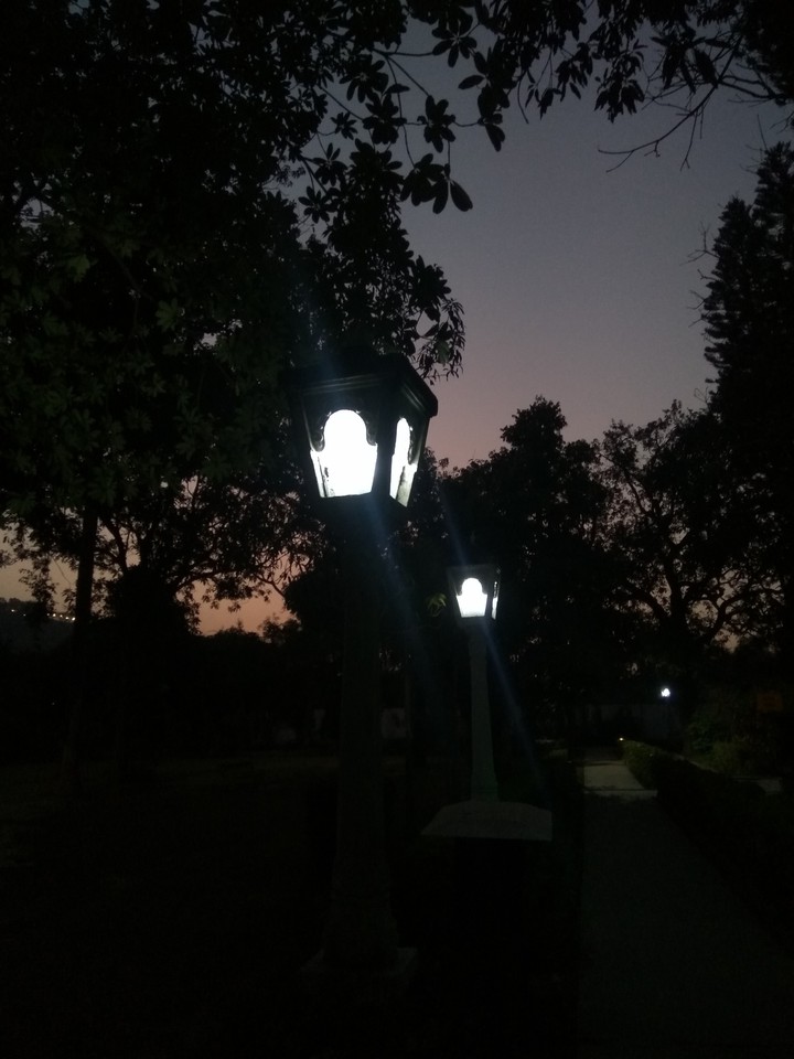 night
