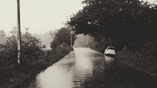 Shady Monsoon