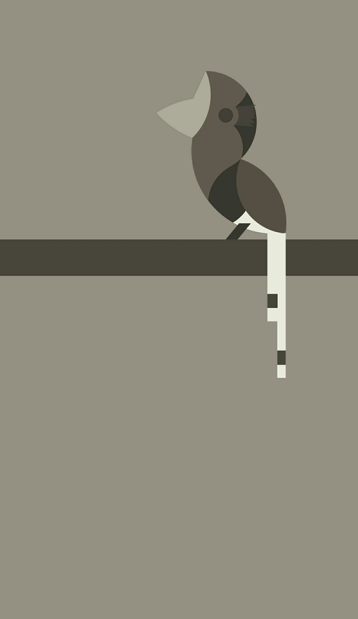 hornbill 1