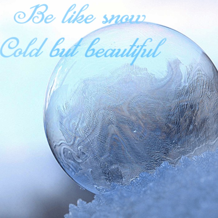 ❄❄❄❄