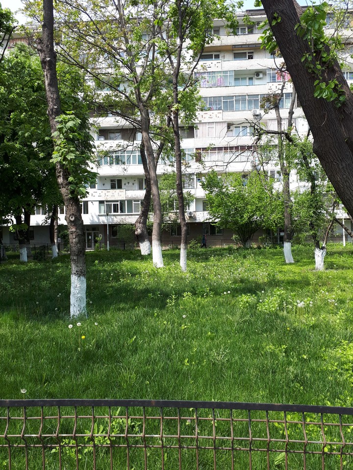 Nature