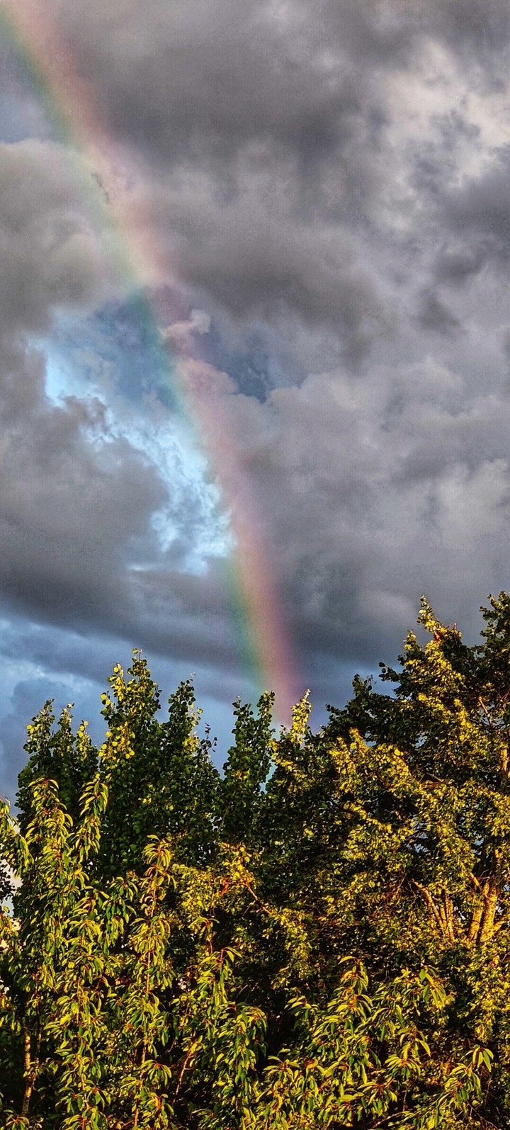 Rainbow