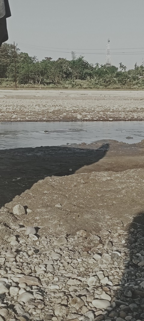 mudflat, beach wallpapers