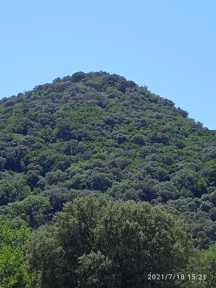 Parque natural de Grazalema