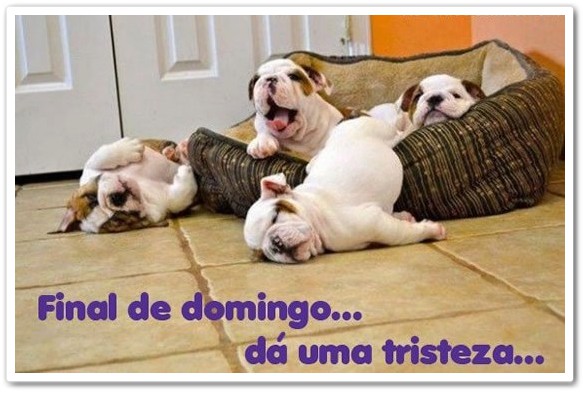 Aos amigos do coração bjs.